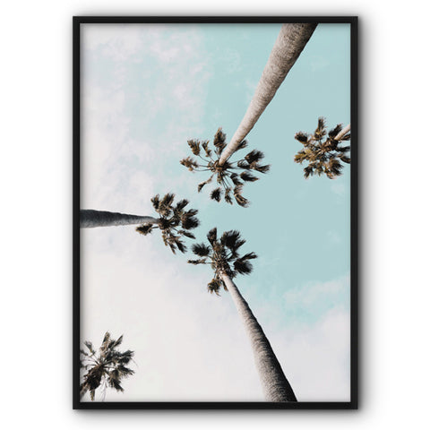 Tall Palm Trees Canvas Print