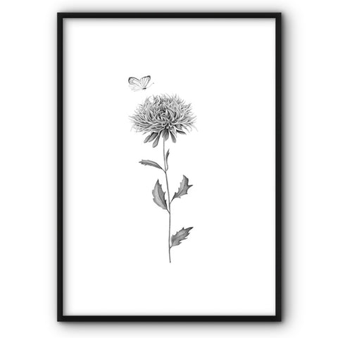 Wild Flower Canvas Print