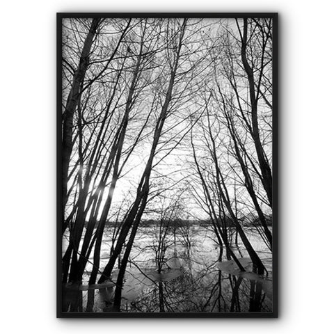Forest On Water Canvas Print