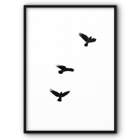Flying Birds Canvas Print