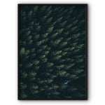 Forest Aerial View Canvas Print