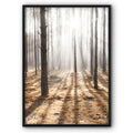Sunny Forest Canvas Print
