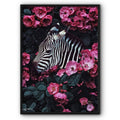 Zebra In Pink Flowers Canvas Print
