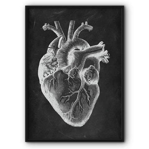 Heart Anatomical Chalkboard Illustration Canvas Print