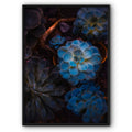 Blue Succulent Plants Canvas Print