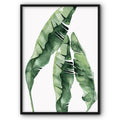 Green Leaf Plant No6 Canvas Print