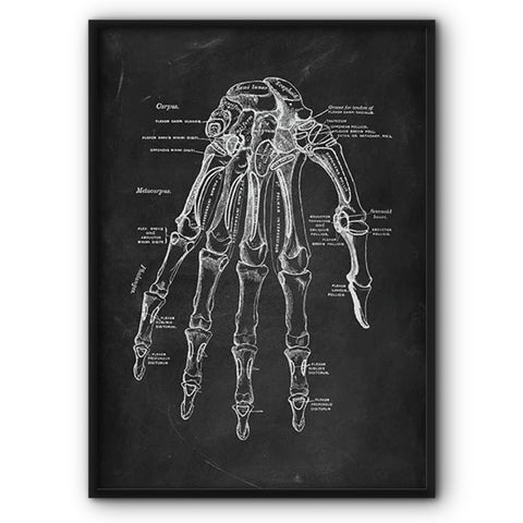 Hand Anatomy Chalkboard Illustration Canvas Print