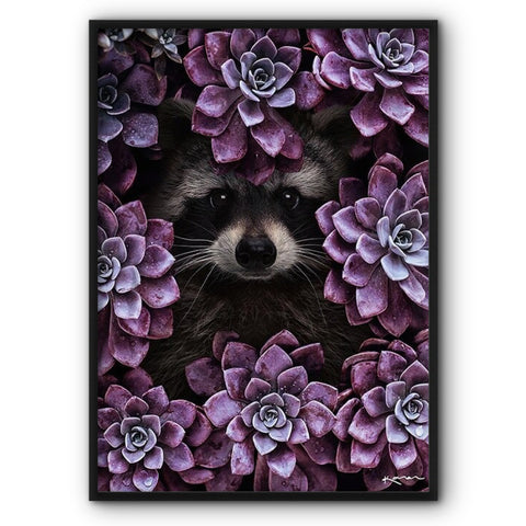 racoon-in-purple-succulents-canvas-print
