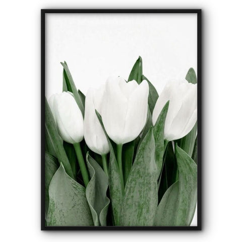 White Tulips Canvas Print