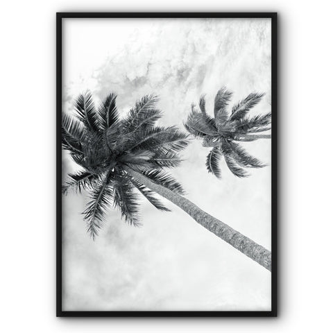 beach-palms-canvas-print