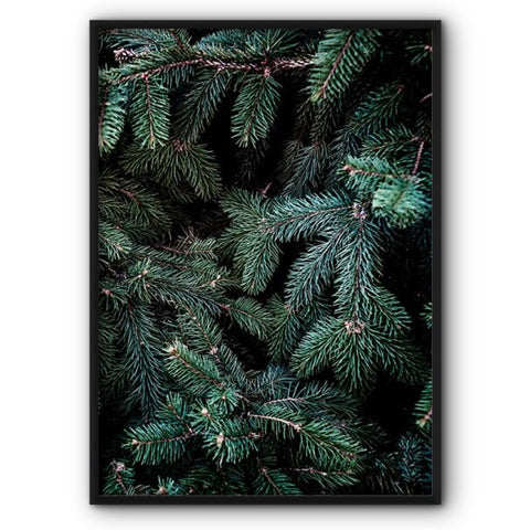 pine-tree-canvas-print