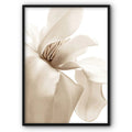 White Flower Petals Canvas Print