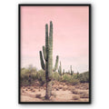 Giant Cactus Canvas Print