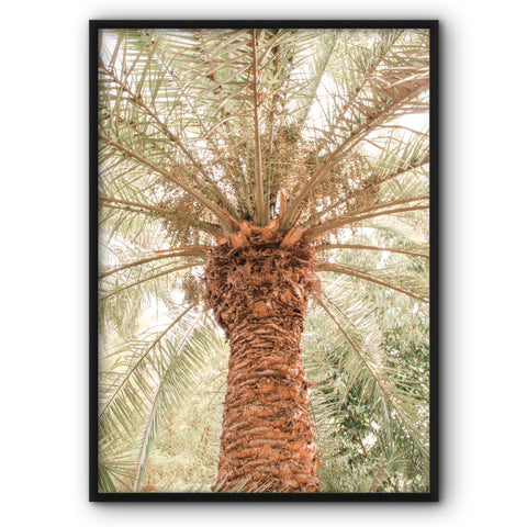 palm-tree-canvas-print