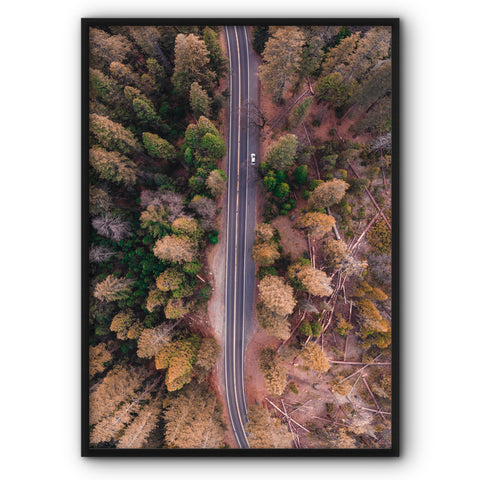 a-road-in-the-forest-canvas-print