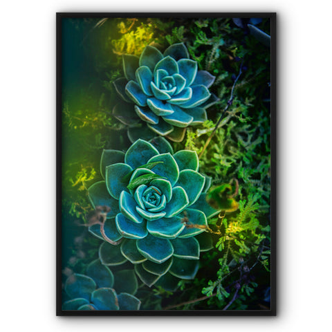 Green Succulent Plants Canvas Print 2