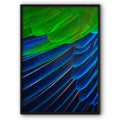 Blue And Green Feathers Canvas Print