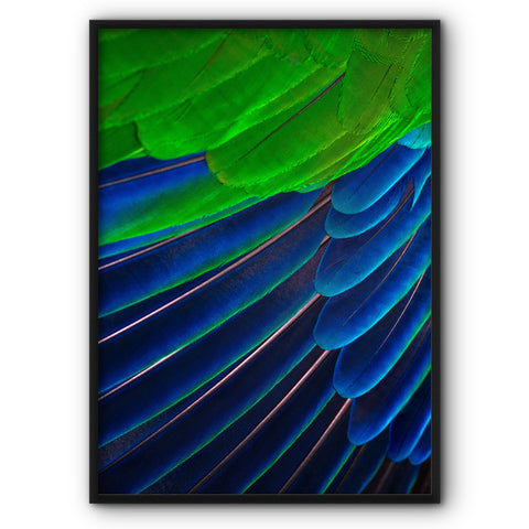 blue-and-green-feathers-canvas-print