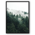 Foggy Pine Forest Canvas Print