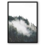 Forest Landscape Canvas Print
