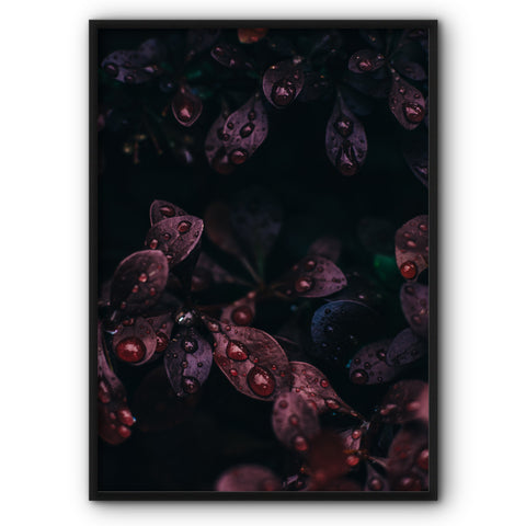 dark-red-leaves-canvas-print