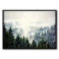 Foggy Pine Forest No3 Canvas Print