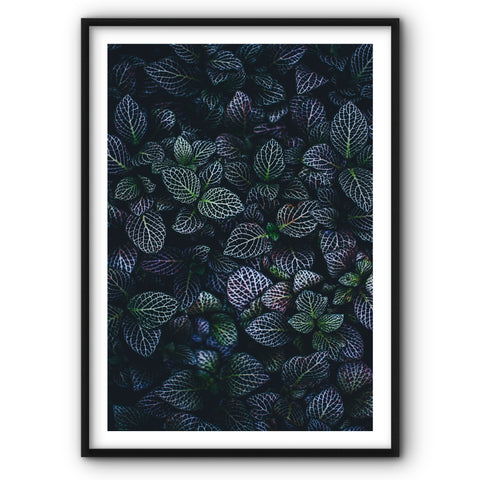 purple-green-leaves-canvas-print