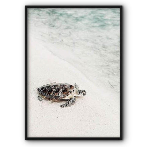 Turtle And The Ocean Canvas Print