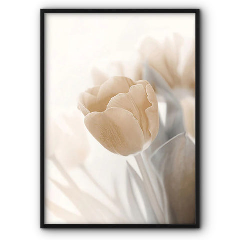 White Tulip Canvas Print
