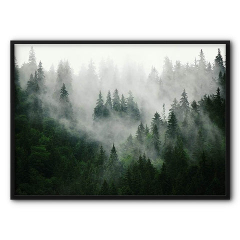 foggy-pine-forest-2-canvas-print
