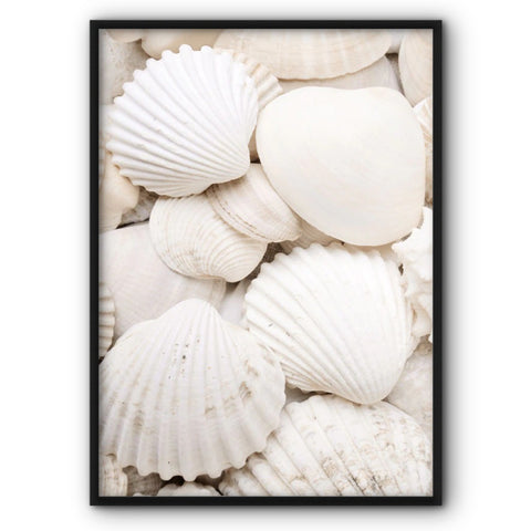 white-seashells-canvas-print