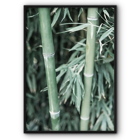 bamboo-plant-canvas-print