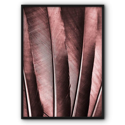 Scarlet Feathers Canvas Print