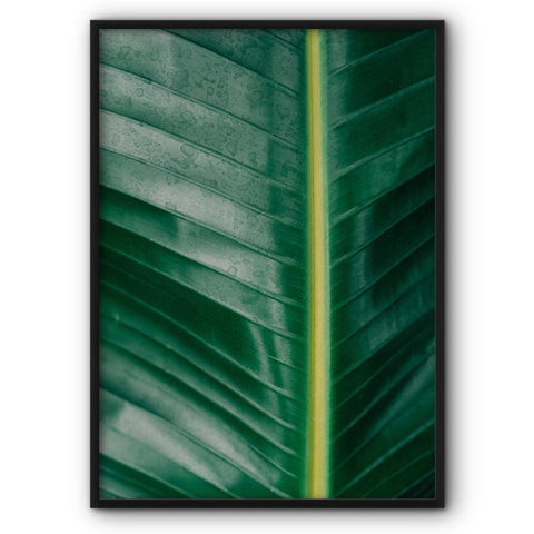 banana-leaf-canvas-print-2
