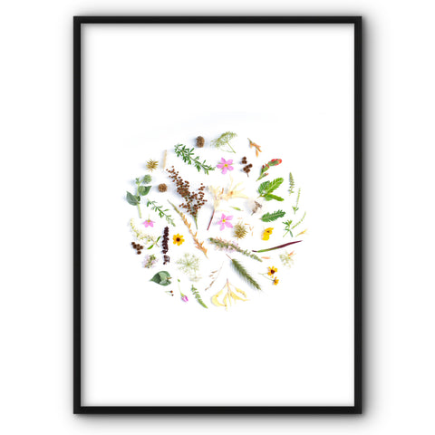 circle-of-flowers-and-leaves-canvas-print
