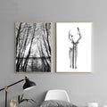 Deer In Black And White Canvas Print
