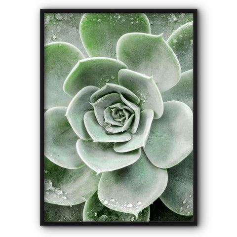 green-rose-canvas-print
