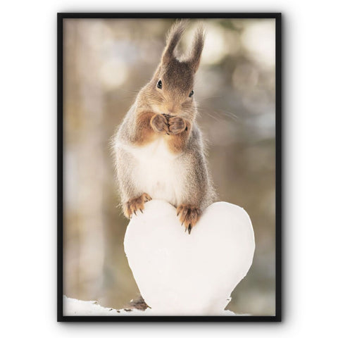 Cute Squirrel Canvas Print