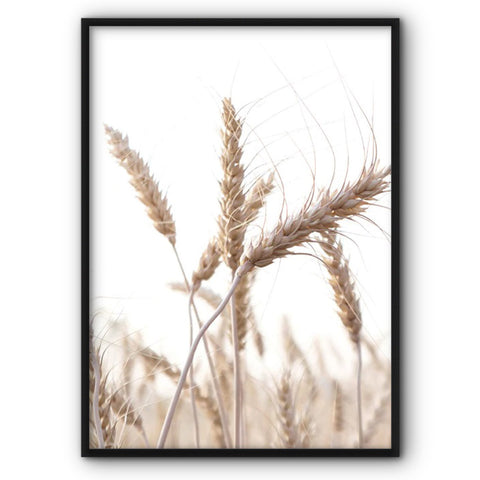 wheat-closeup-canvas-print