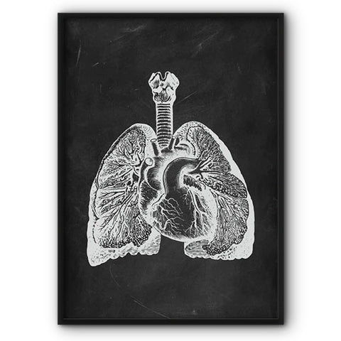 lungs-anatomy-chalkboard-illustration-canvas-print