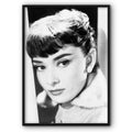 Audrey Hepburn No6 Canvas Print