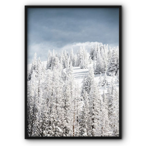 Winter Forest On The Hill Canvas Print