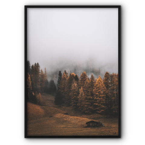 autumn-forest-canvas-print-2
