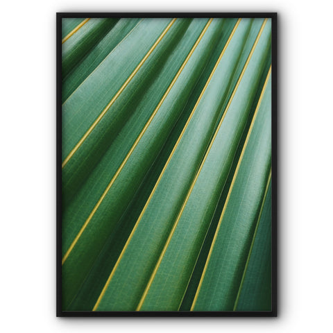 Banana Leaf Canvas Print