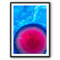 Pink and Blue Canvas Print