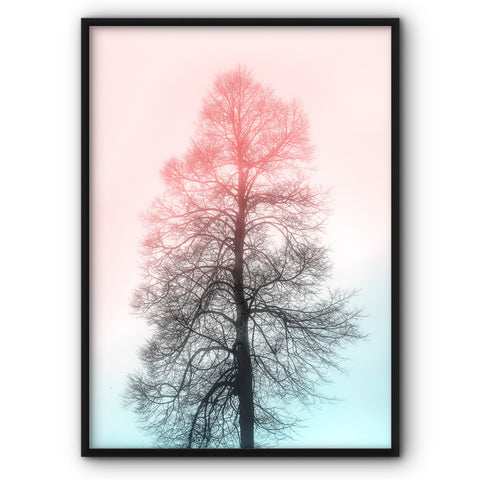 rose-blue-tree-canvas-print