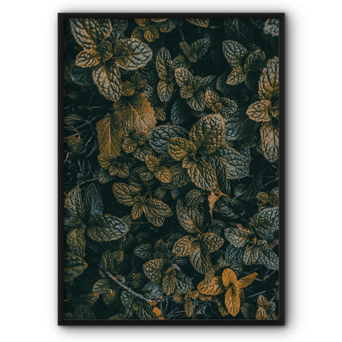 autumn-leaves-canvas-print-1
