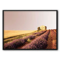 House In Fields Canvas Print