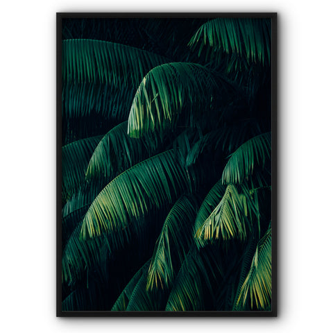 palm-tree-branches-canvas-print