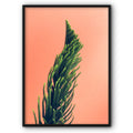 Plant On A Coral Background Canvas Print